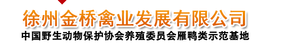 徐州金桥禽业发展有限公司